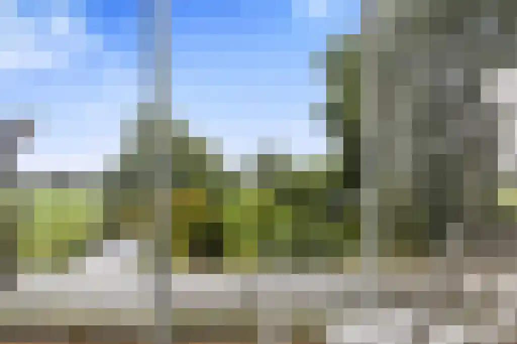 De Buorren 27 Lippenhuizen thumbnail 16