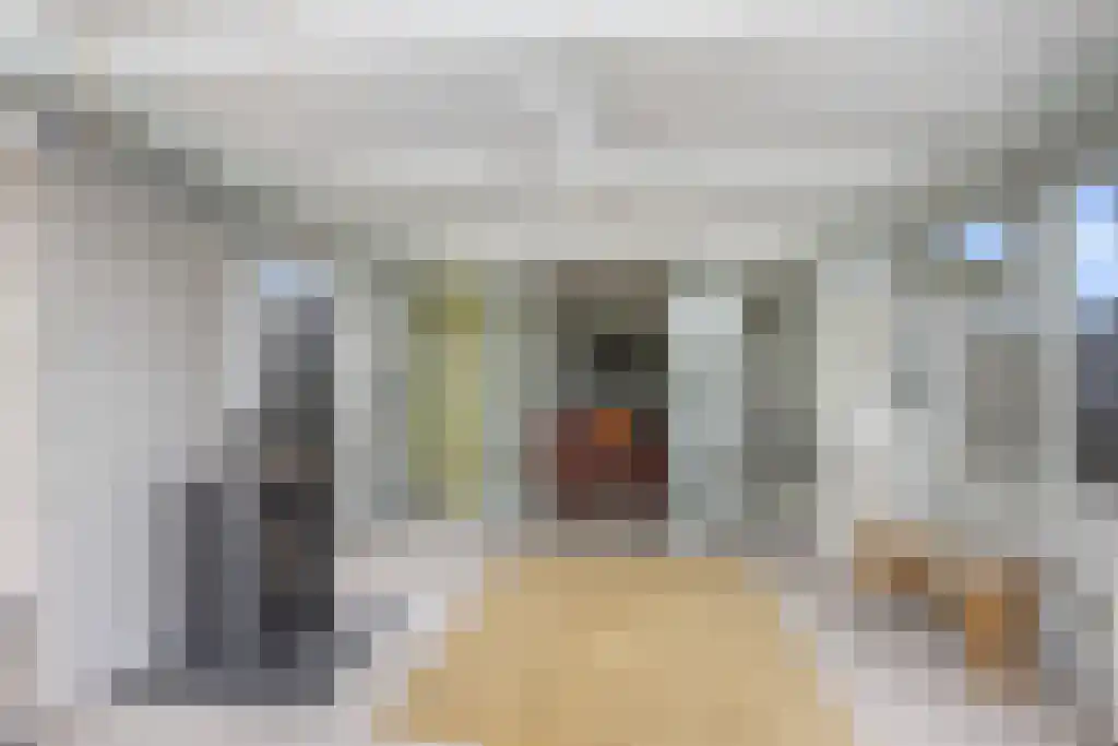 De Buorren 27 Lippenhuizen thumbnail 17