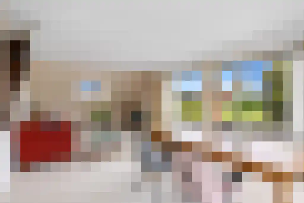 De Buorren 27 Lippenhuizen thumbnail 23