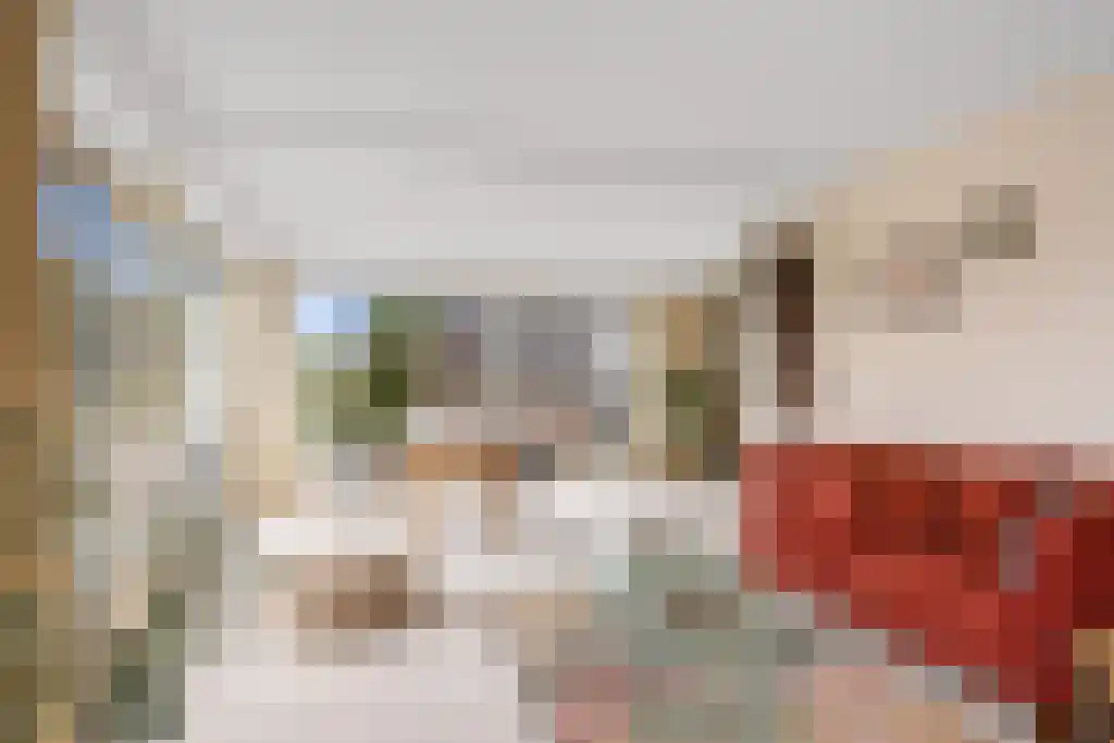 De Buorren 27 Lippenhuizen thumbnail 24