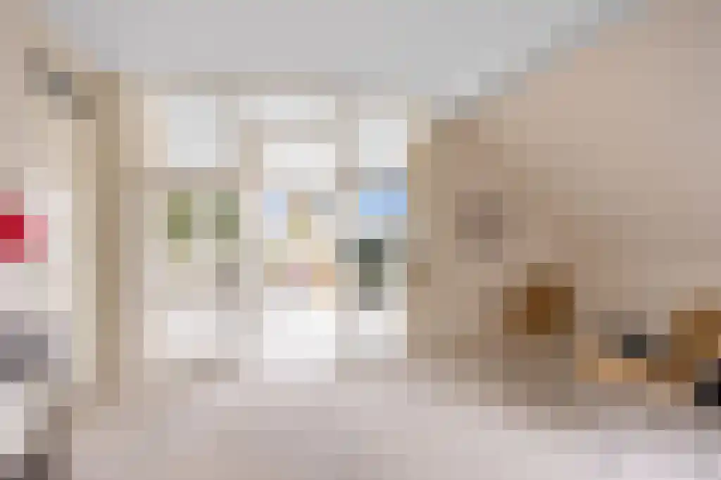 De Buorren 27 Lippenhuizen thumbnail 26