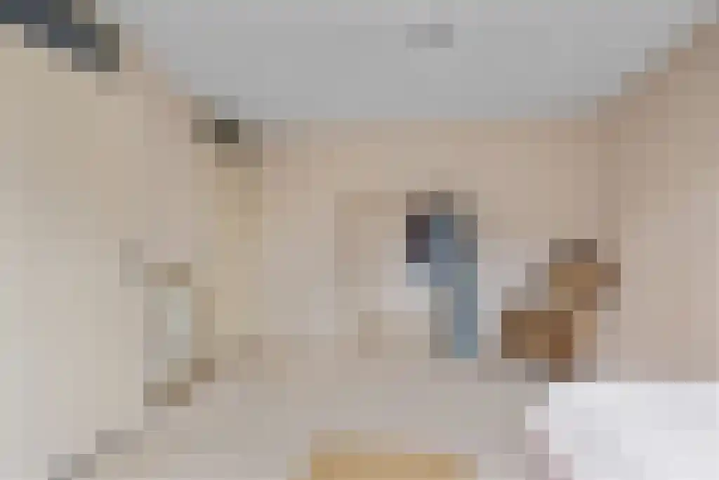 De Buorren 27 Lippenhuizen thumbnail 31