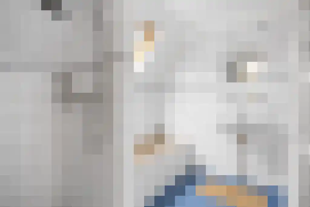 De Buorren 27 Lippenhuizen thumbnail 33