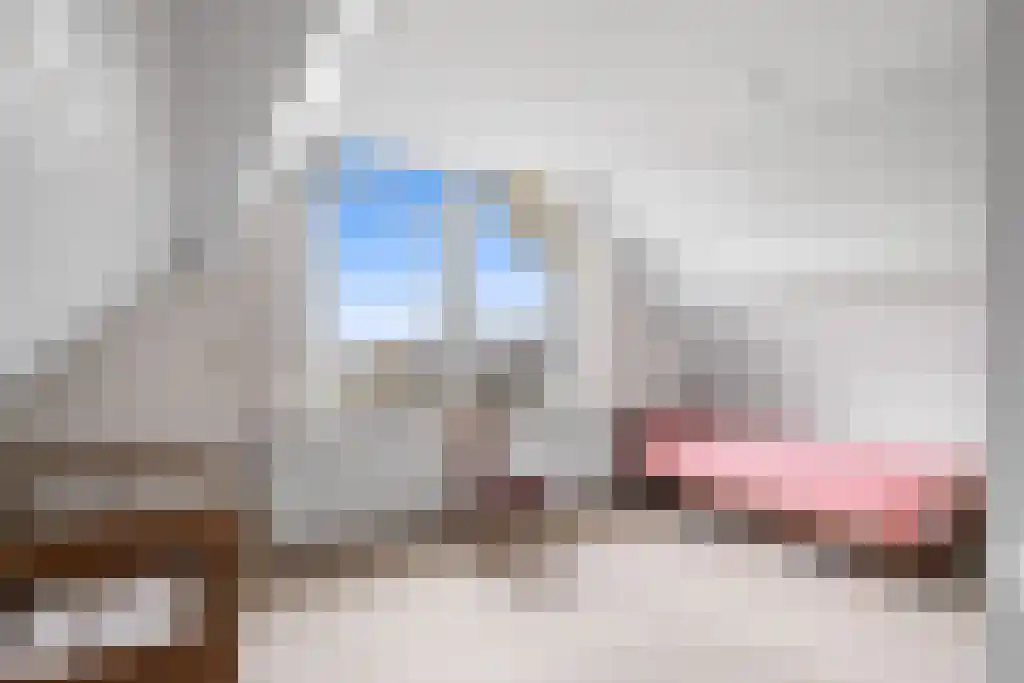 De Buorren 27 Lippenhuizen thumbnail 34