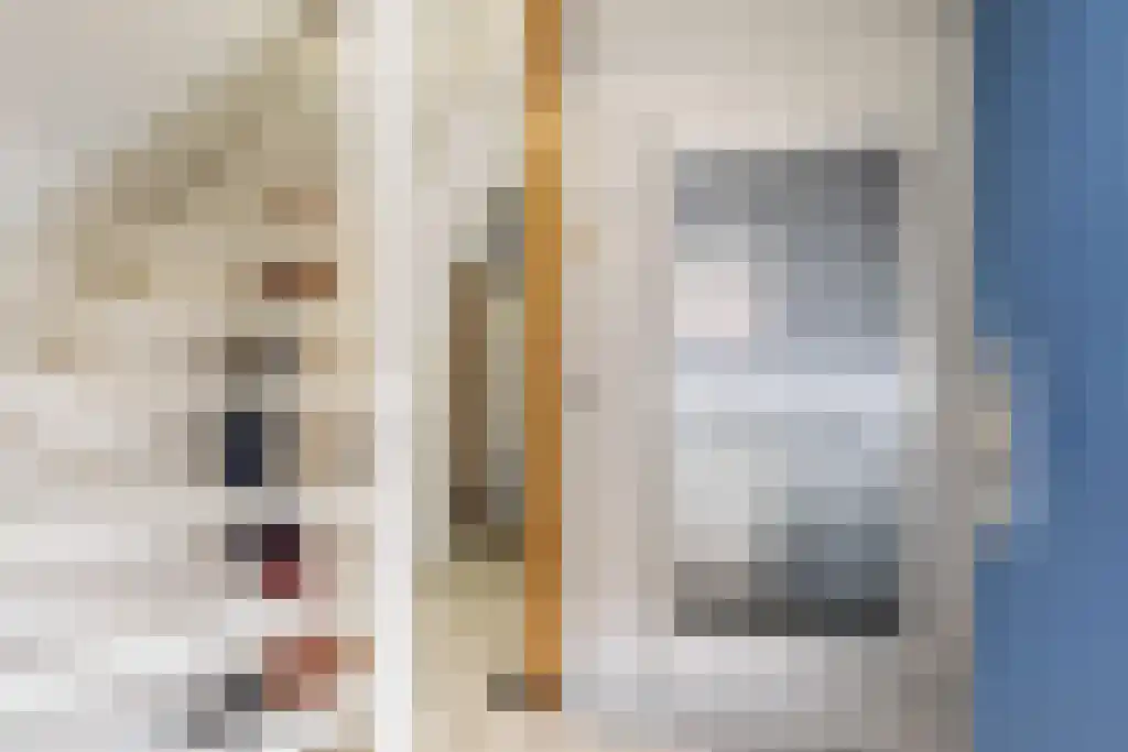 De Buorren 27 Lippenhuizen thumbnail 4
