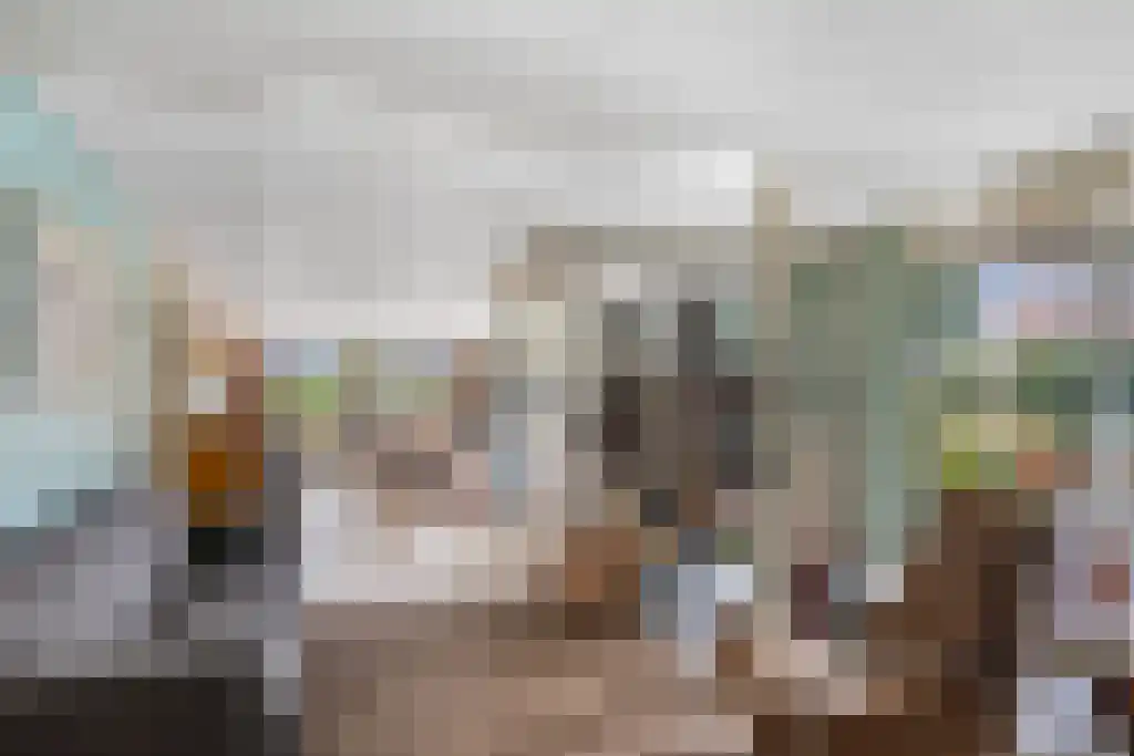 De Buorren 27 Lippenhuizen thumbnail 41