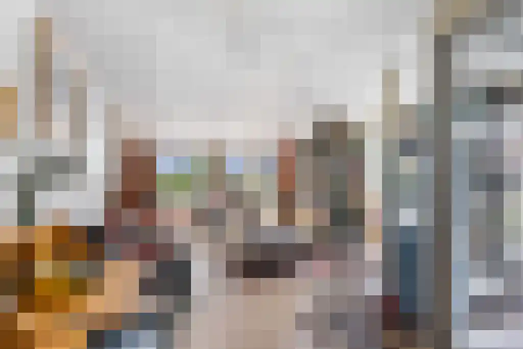 De Buorren 27 Lippenhuizen thumbnail 43