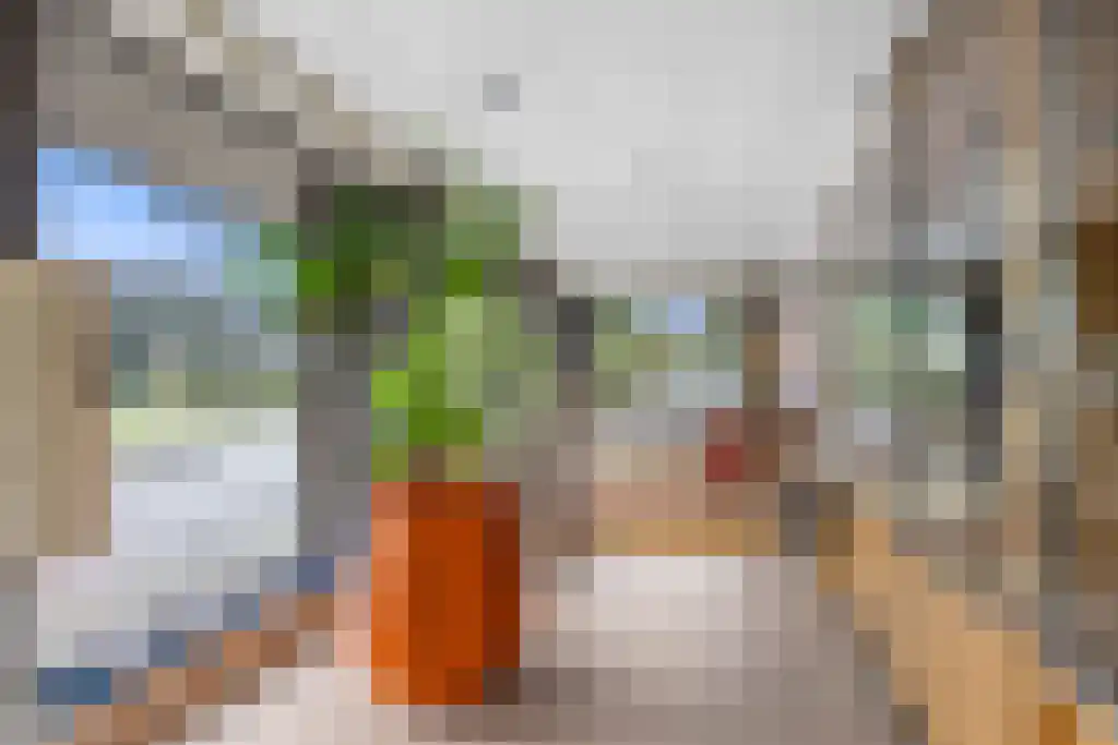 De Buorren 27 Lippenhuizen thumbnail 44