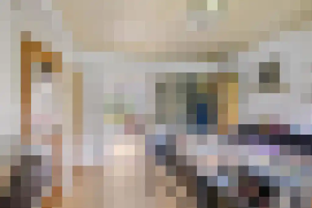 De Buorren 27 Lippenhuizen thumbnail 48