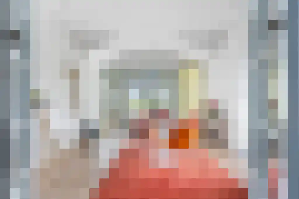 De Buorren 27 Lippenhuizen thumbnail 5