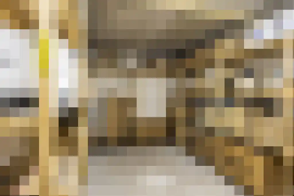 De Buorren 27 Lippenhuizen thumbnail 55
