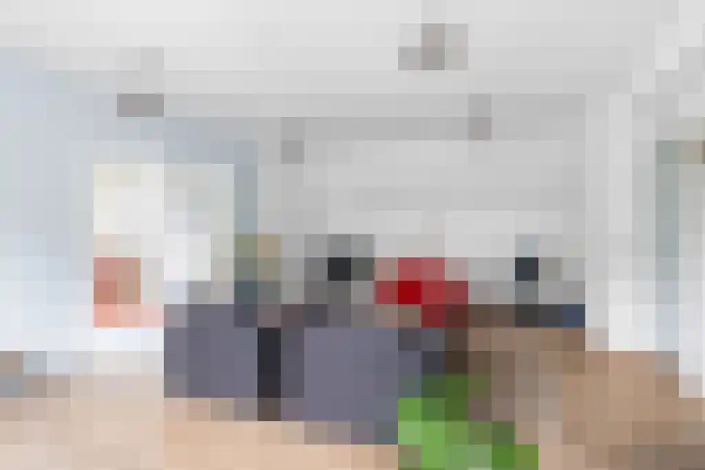 De Buorren 27 Lippenhuizen thumbnail 9