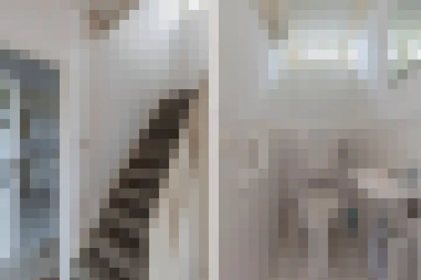 De Buorren 33 Lippenhuizen thumbnail 14