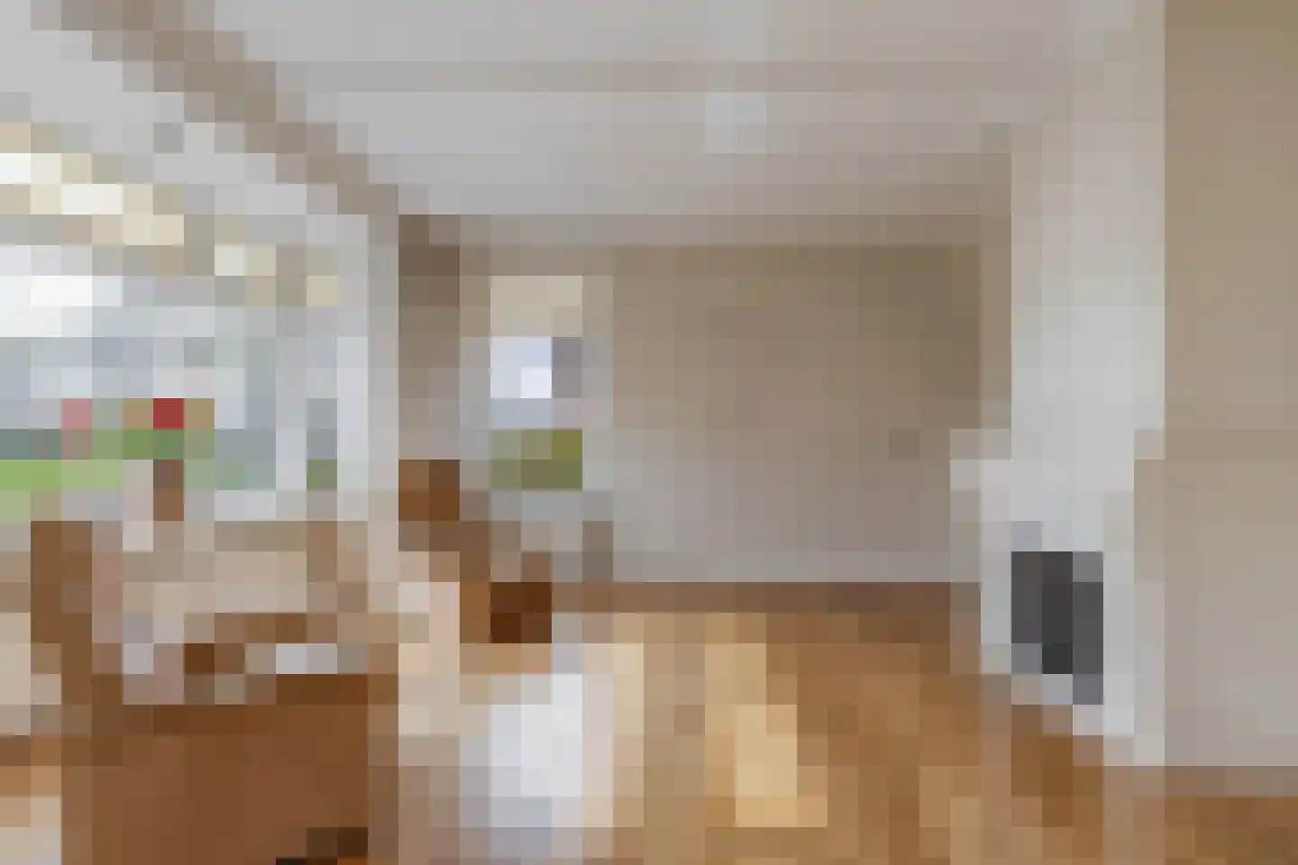 De Buorren 33 Lippenhuizen thumbnail 17