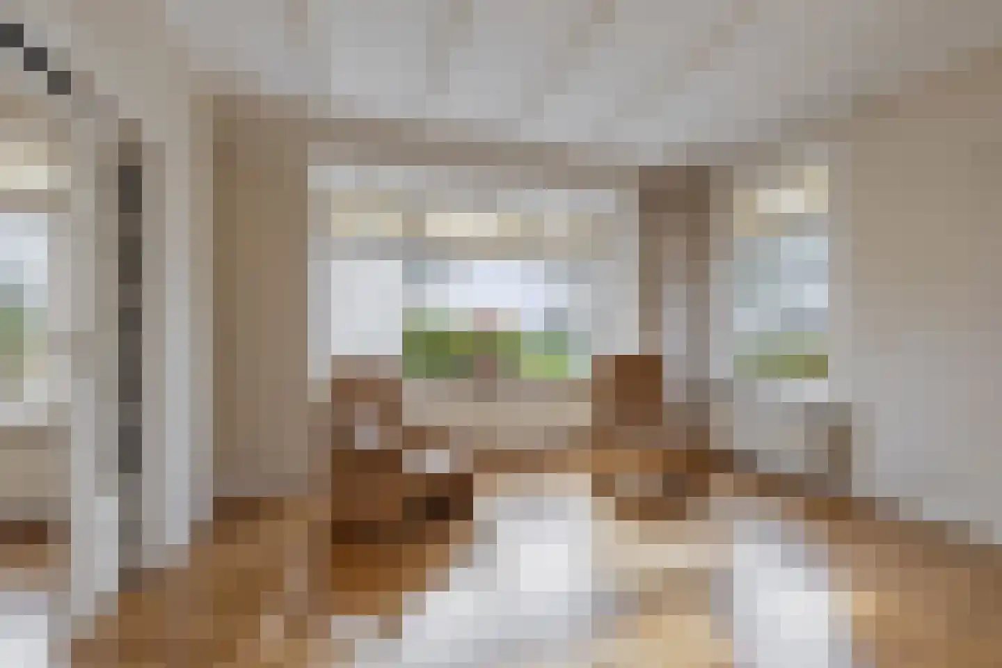 De Buorren 33 Lippenhuizen thumbnail 18
