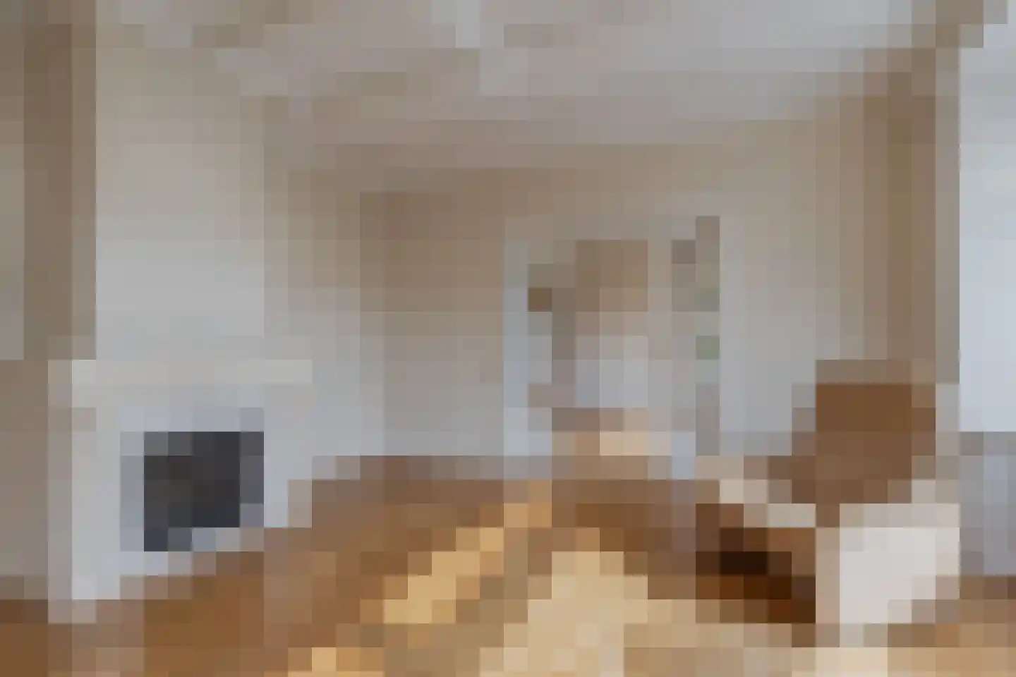 De Buorren 33 Lippenhuizen thumbnail 19