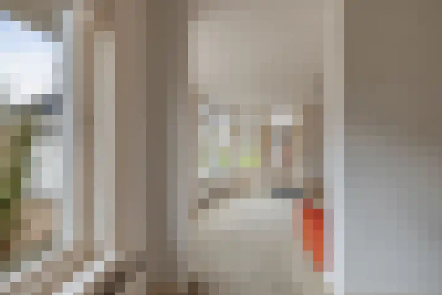 De Buorren 33 Lippenhuizen thumbnail 22