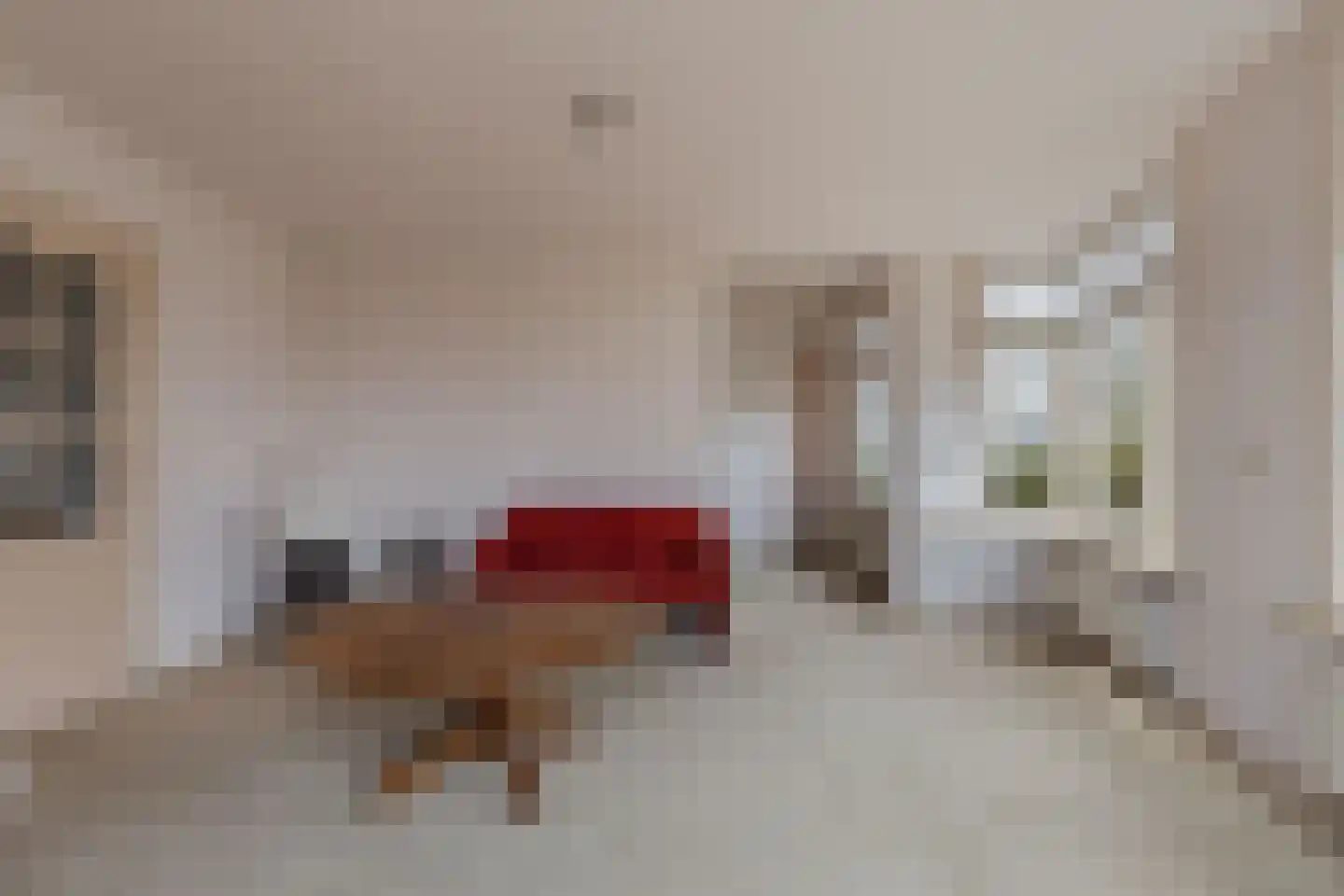 De Buorren 33 Lippenhuizen thumbnail 25