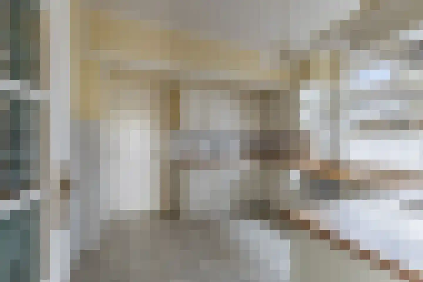 De Buorren 33 Lippenhuizen thumbnail 27