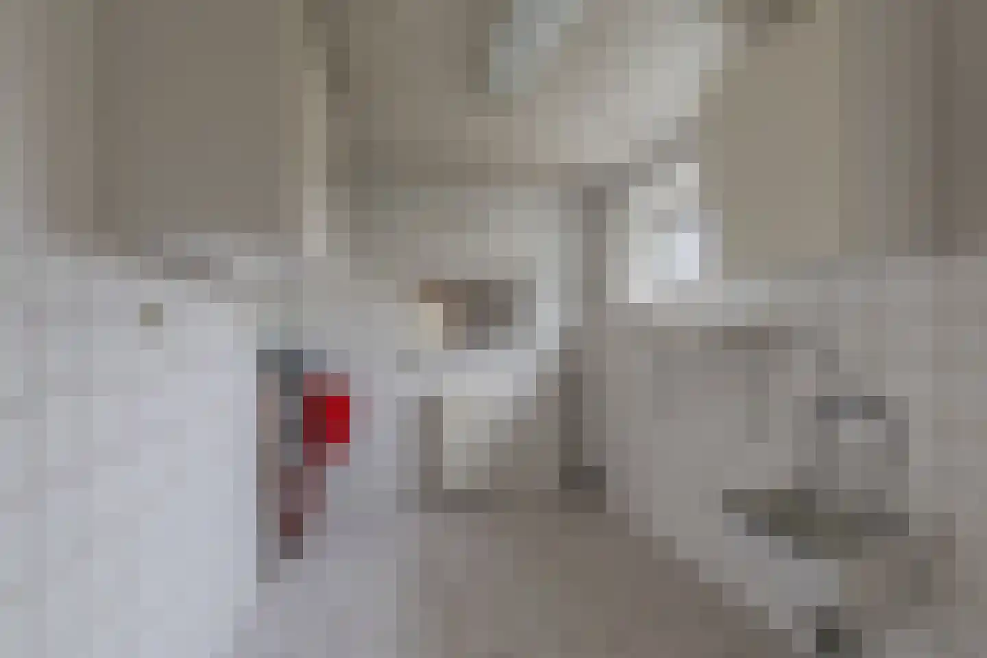 De Buorren 33 Lippenhuizen thumbnail 31