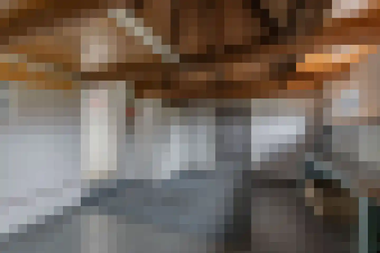 De Buorren 33 Lippenhuizen thumbnail 35