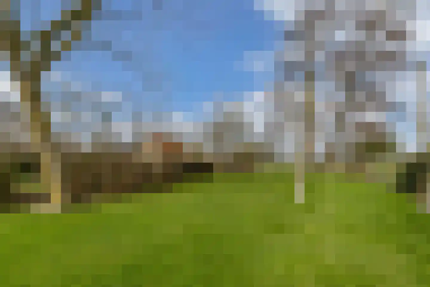 De Buorren 33 Lippenhuizen thumbnail 4