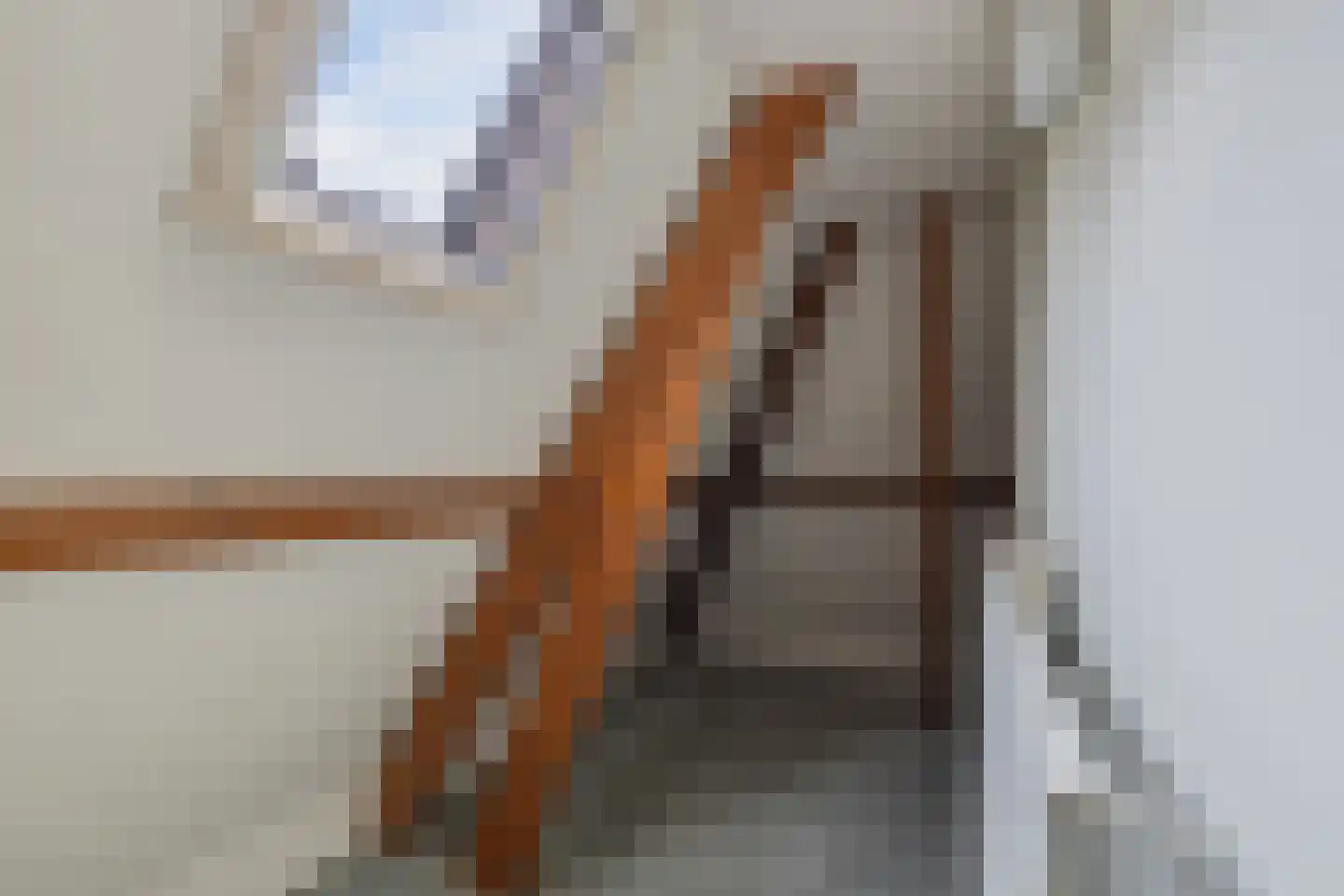 De Buorren 33 Lippenhuizen thumbnail 42