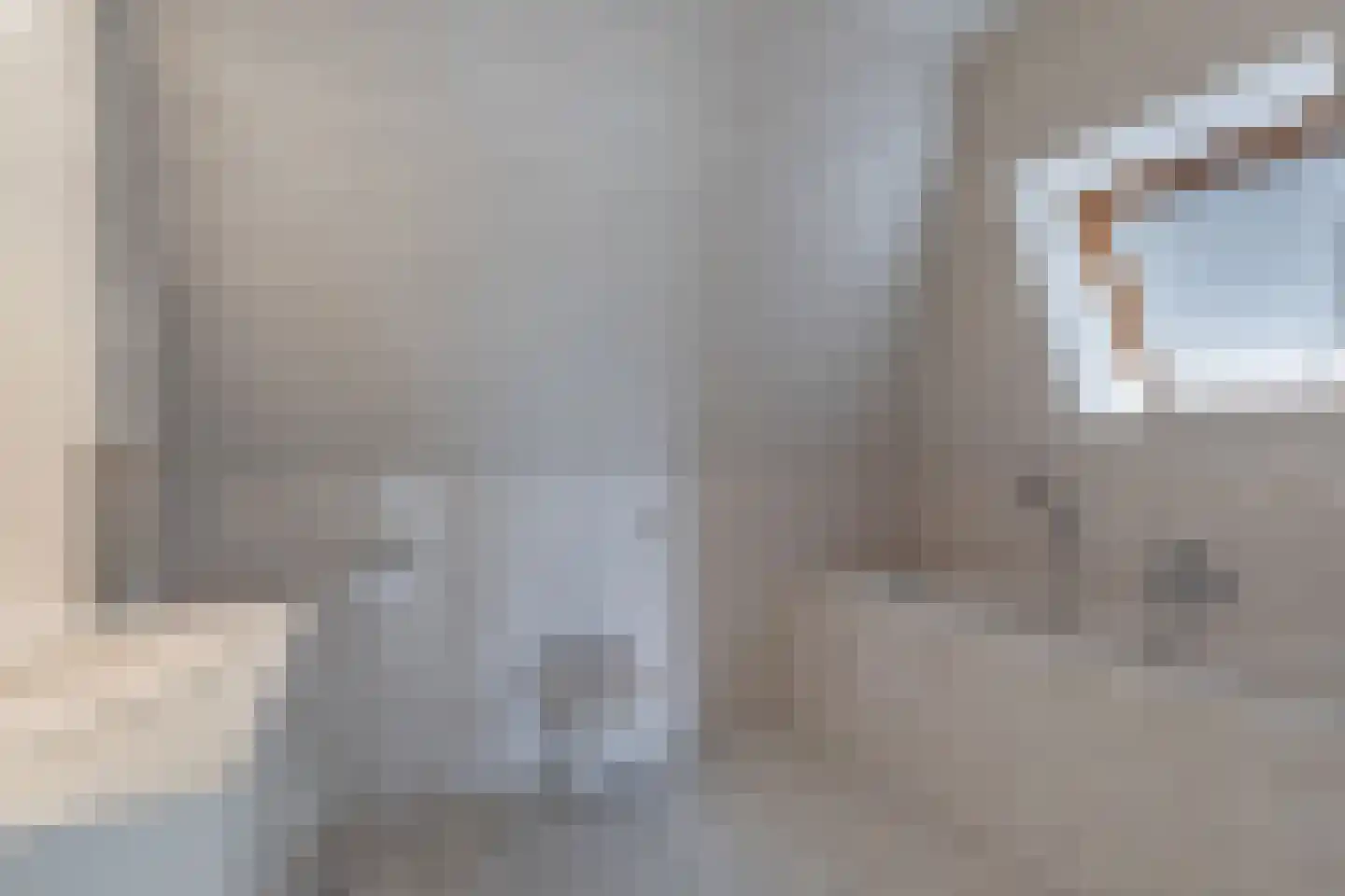 De Buorren 33 Lippenhuizen thumbnail 45