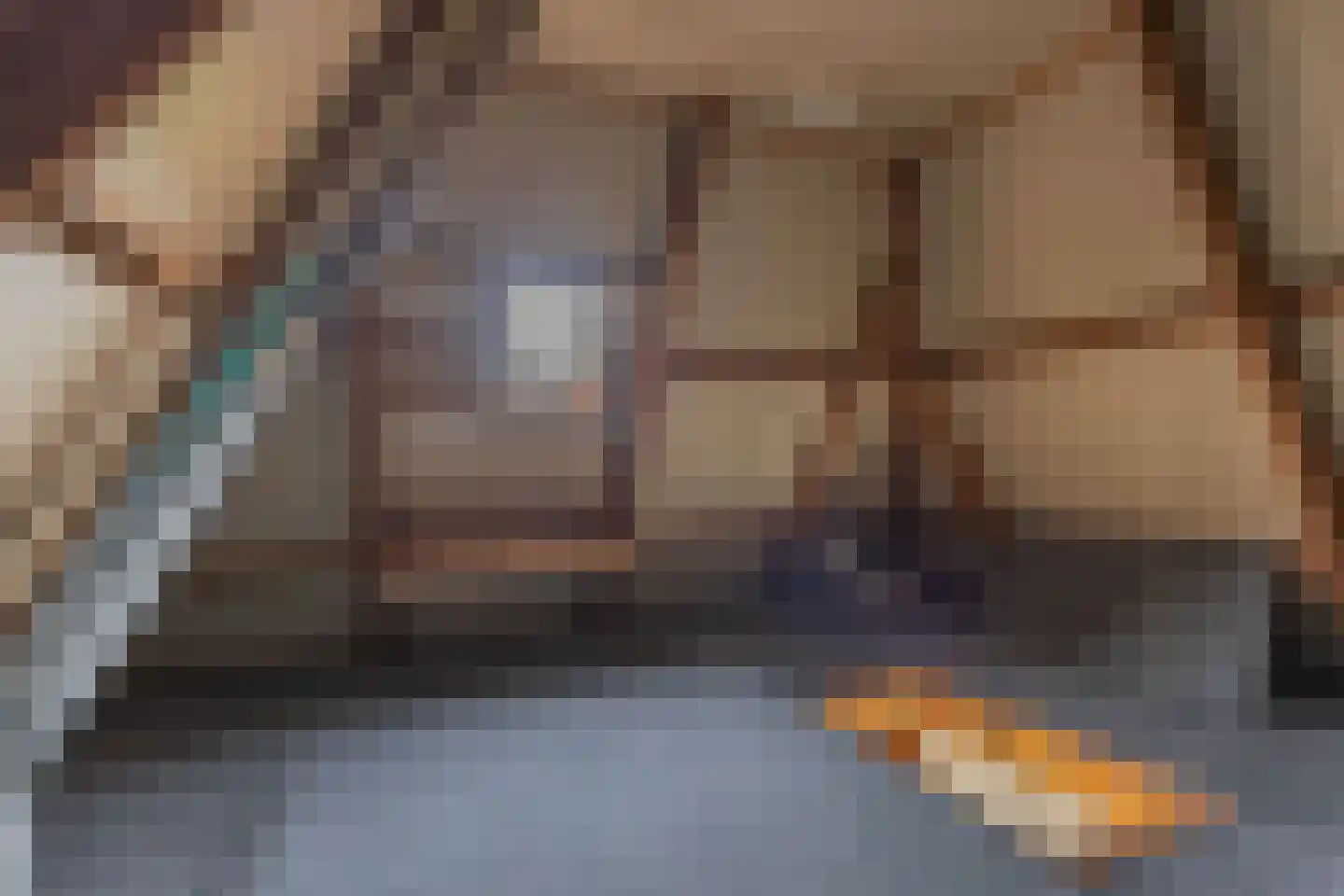 De Buorren 33 Lippenhuizen thumbnail 47