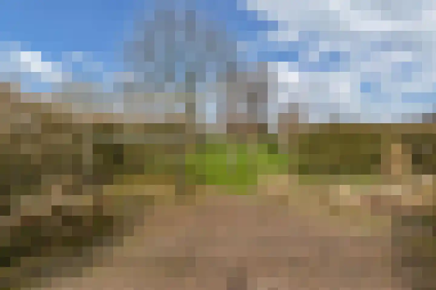 De Buorren 33 Lippenhuizen thumbnail 51