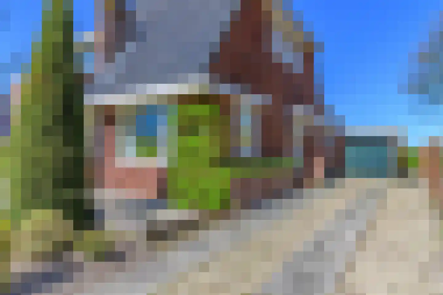 De Buorren 37 Lippenhuizen thumbnail 15