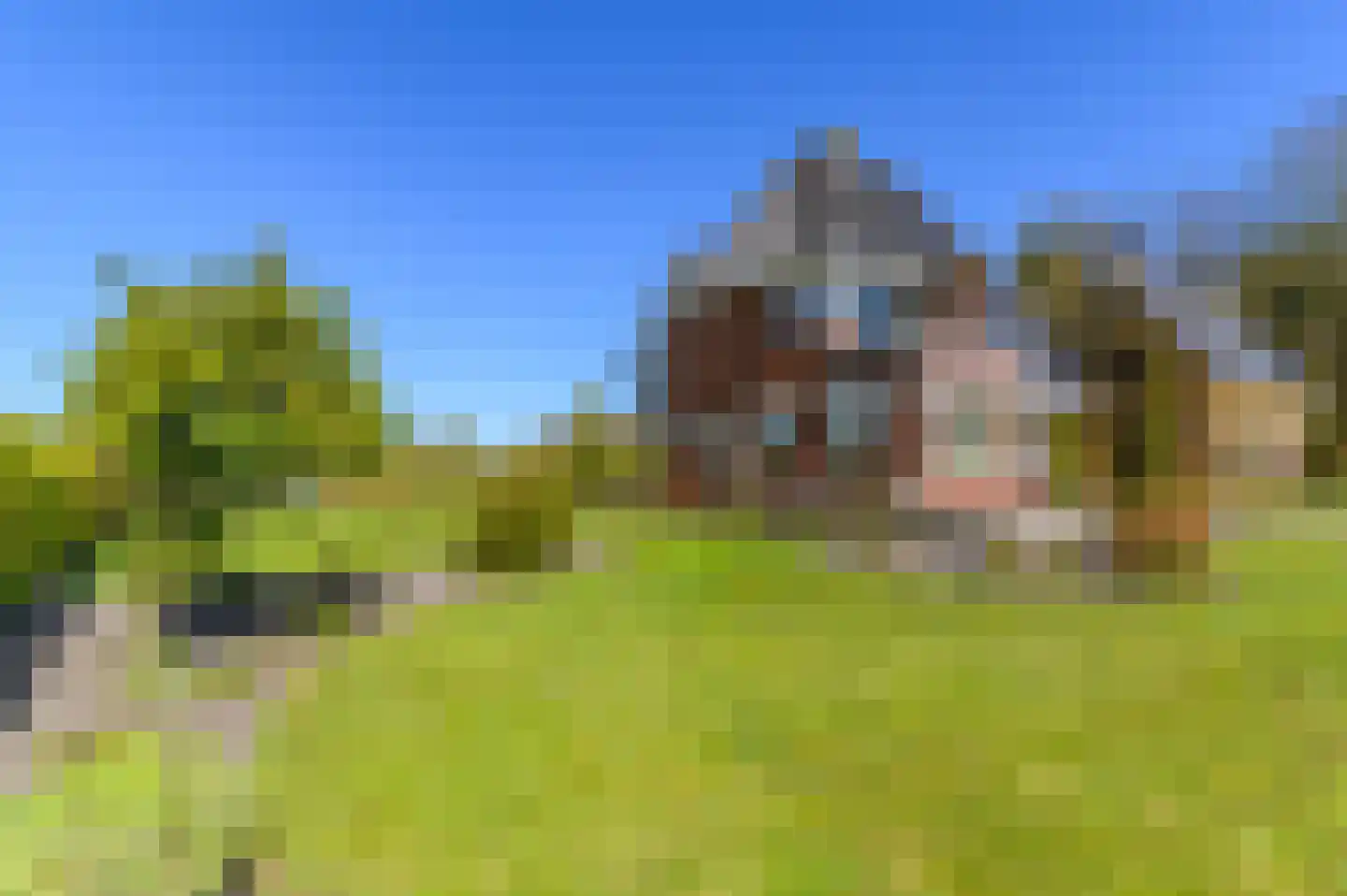 De Buorren 37 Lippenhuizen thumbnail 16
