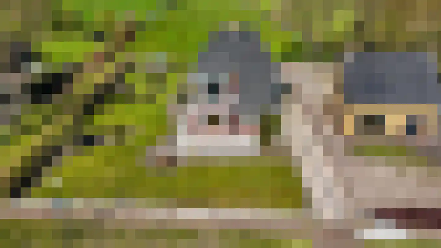 De Buorren 37 Lippenhuizen thumbnail 30