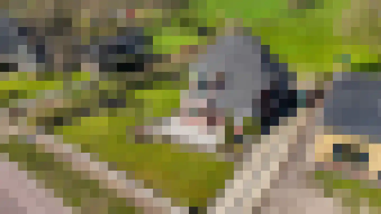De Buorren 37 Lippenhuizen thumbnail 32