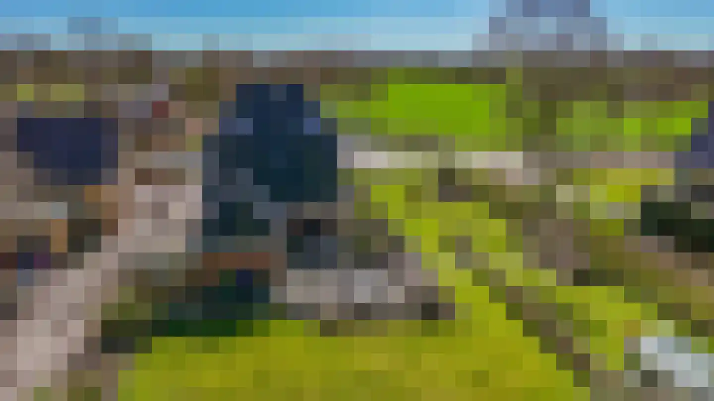 De Buorren 37 Lippenhuizen thumbnail 33
