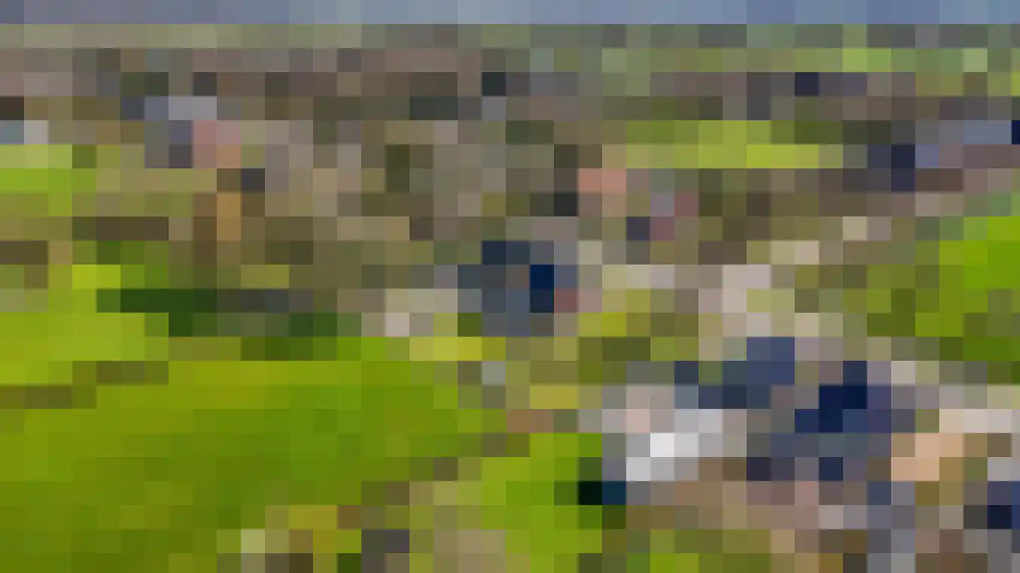 De Buorren 37 Lippenhuizen thumbnail 34