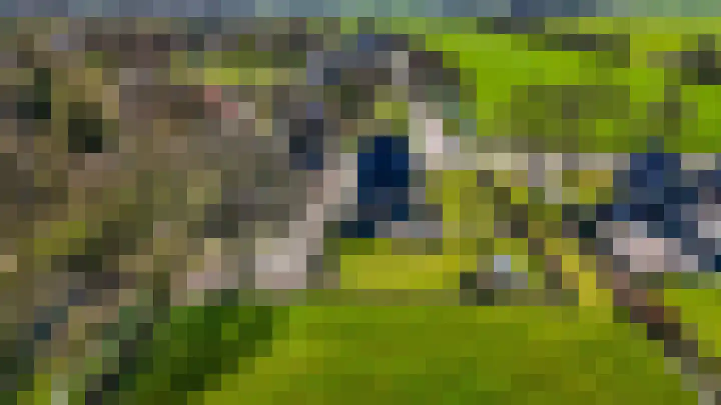De Buorren 37 Lippenhuizen thumbnail 35