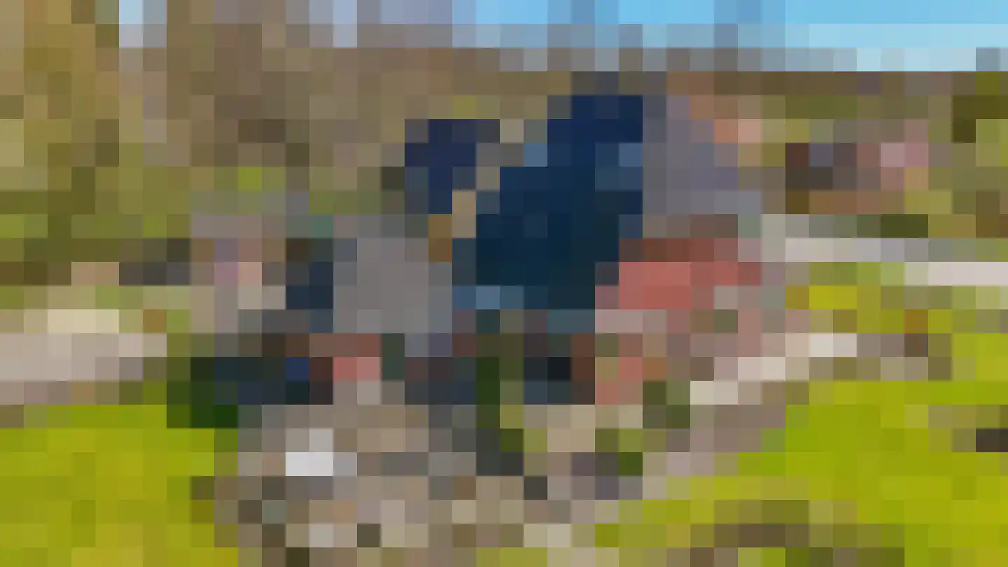 De Buorren 37 Lippenhuizen thumbnail 36