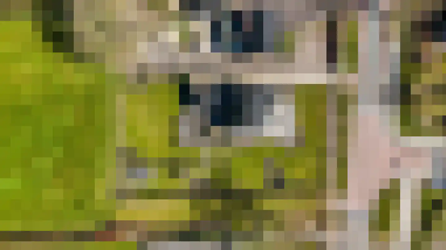 De Buorren 37 Lippenhuizen thumbnail 38