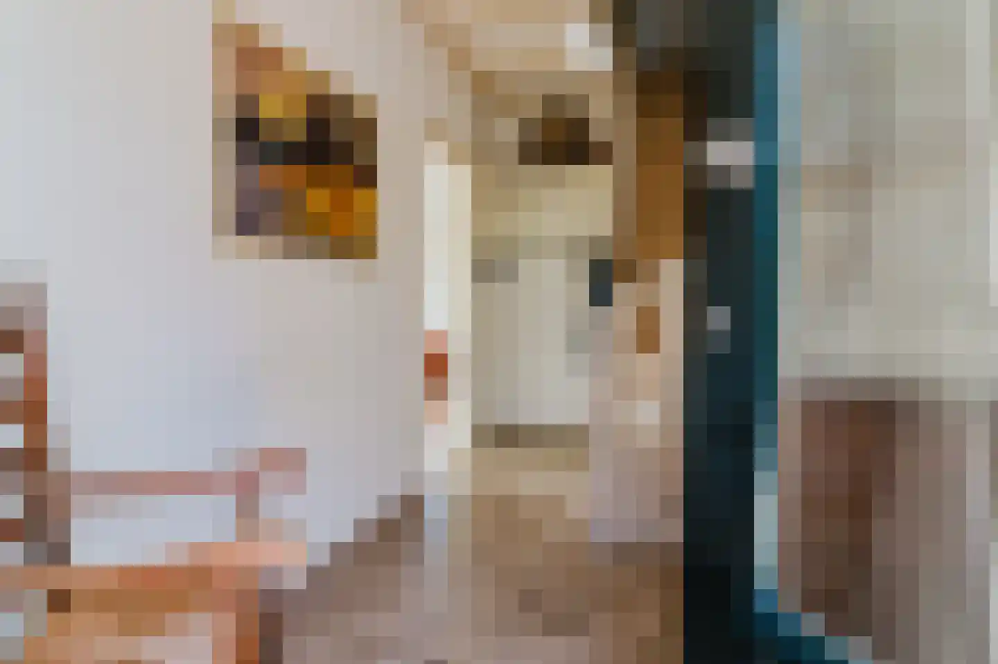 De Buorren 37 Lippenhuizen thumbnail 39