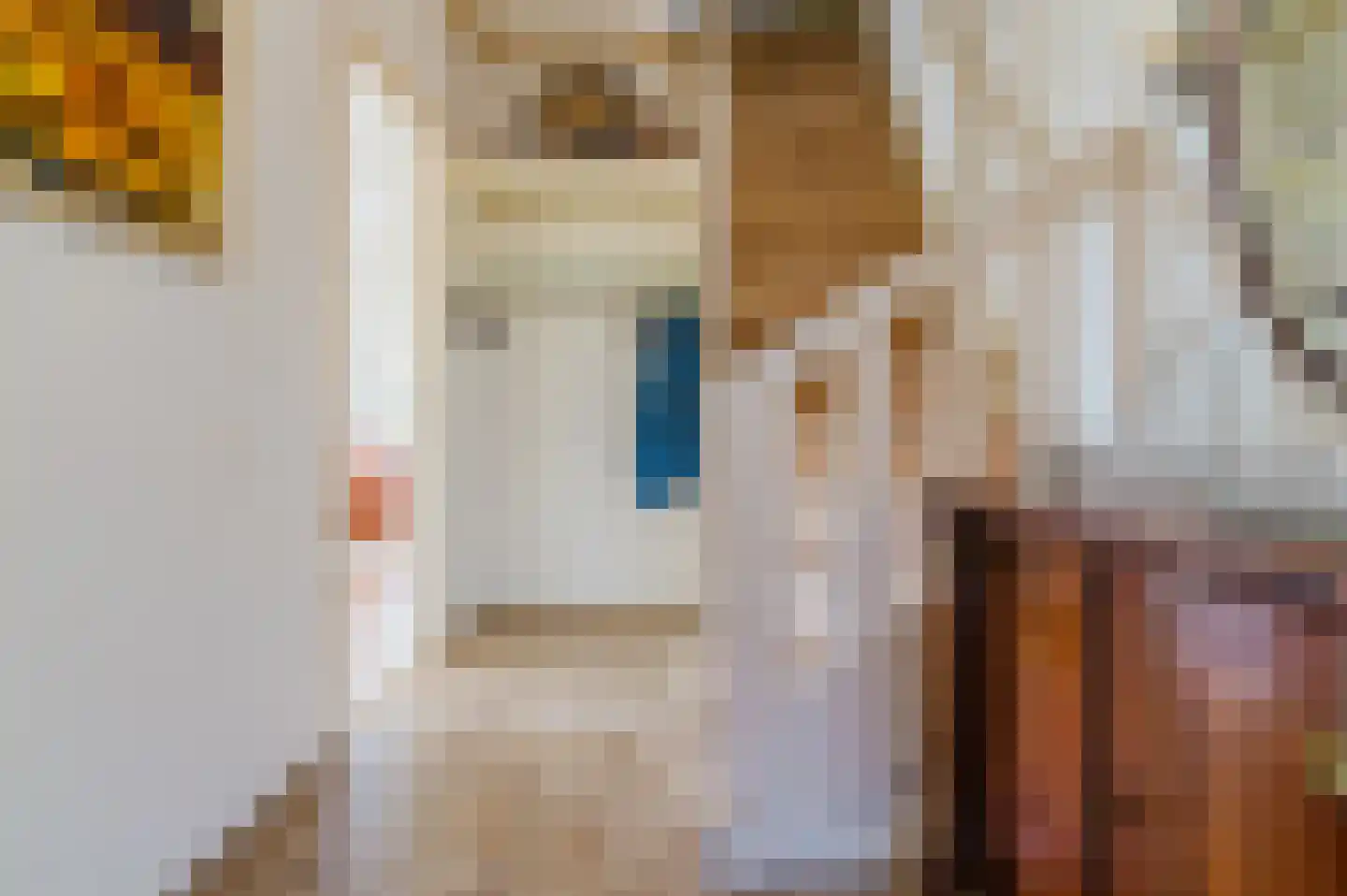 De Buorren 37 Lippenhuizen thumbnail 41