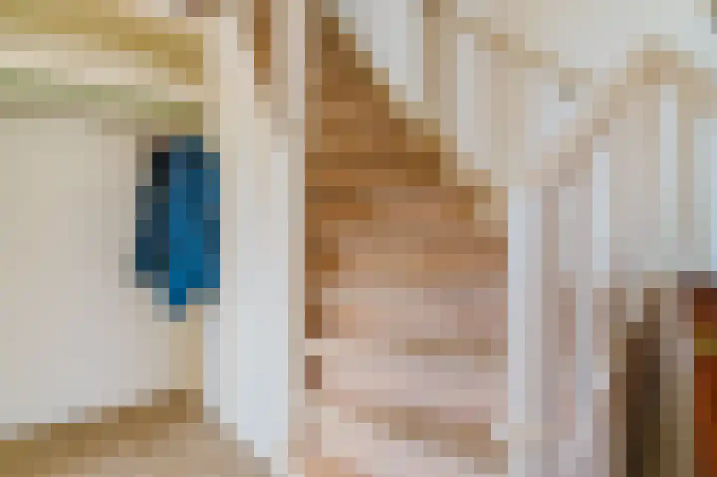De Buorren 37 Lippenhuizen thumbnail 42