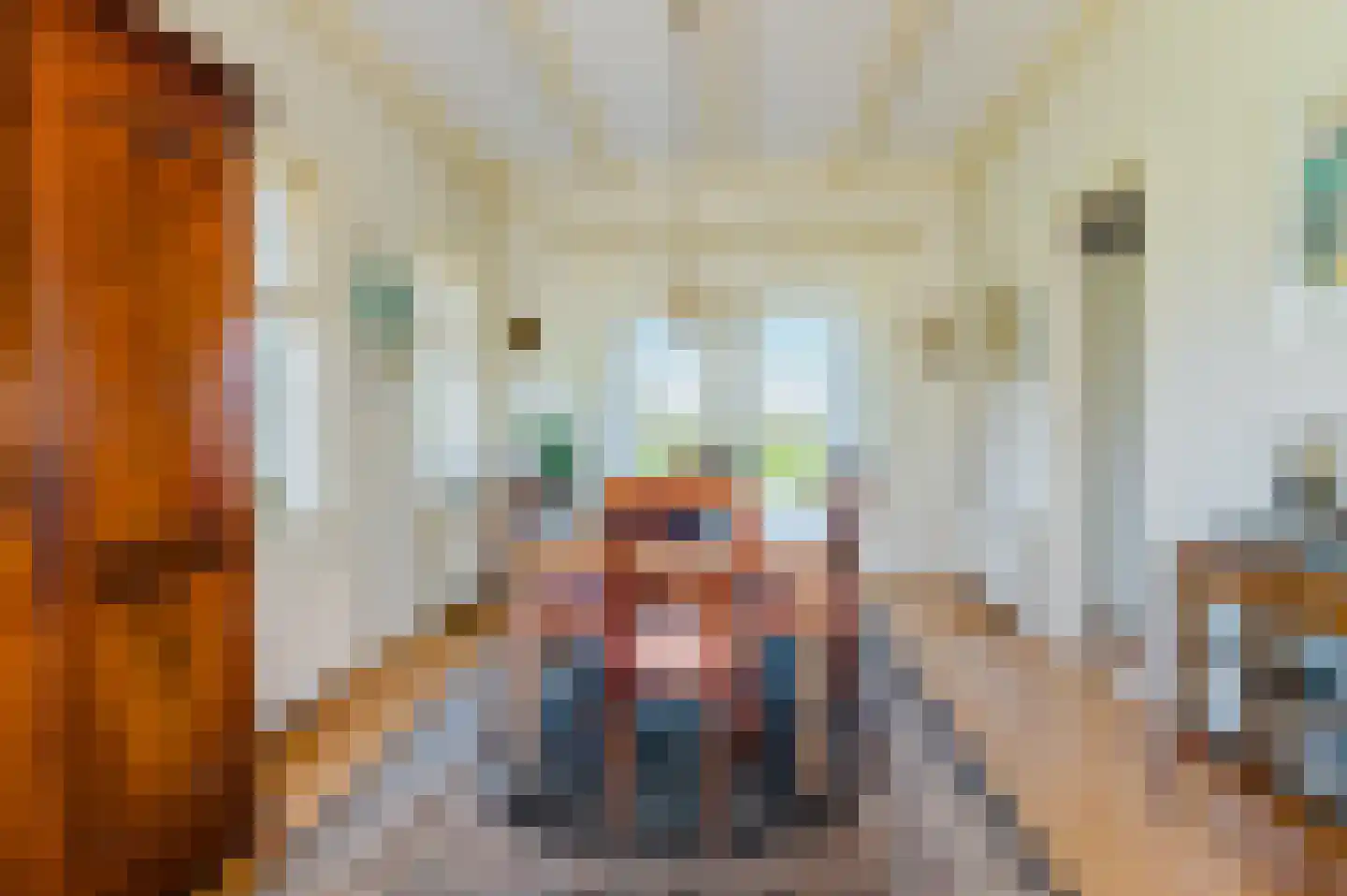 De Buorren 37 Lippenhuizen thumbnail 50