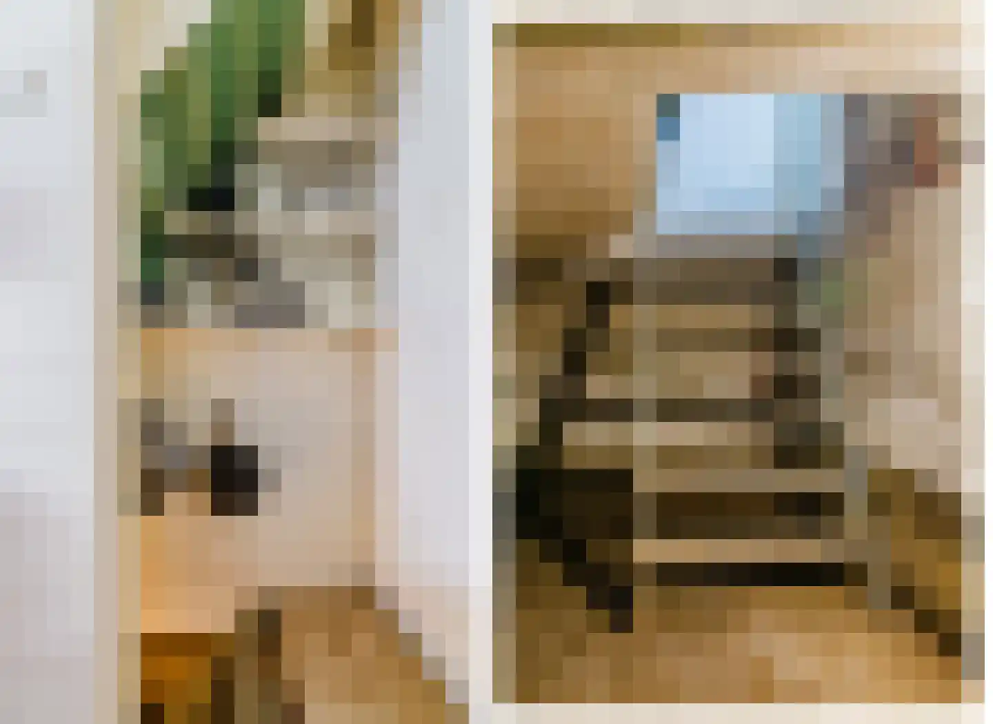 De Buorren 37 Lippenhuizen thumbnail 58