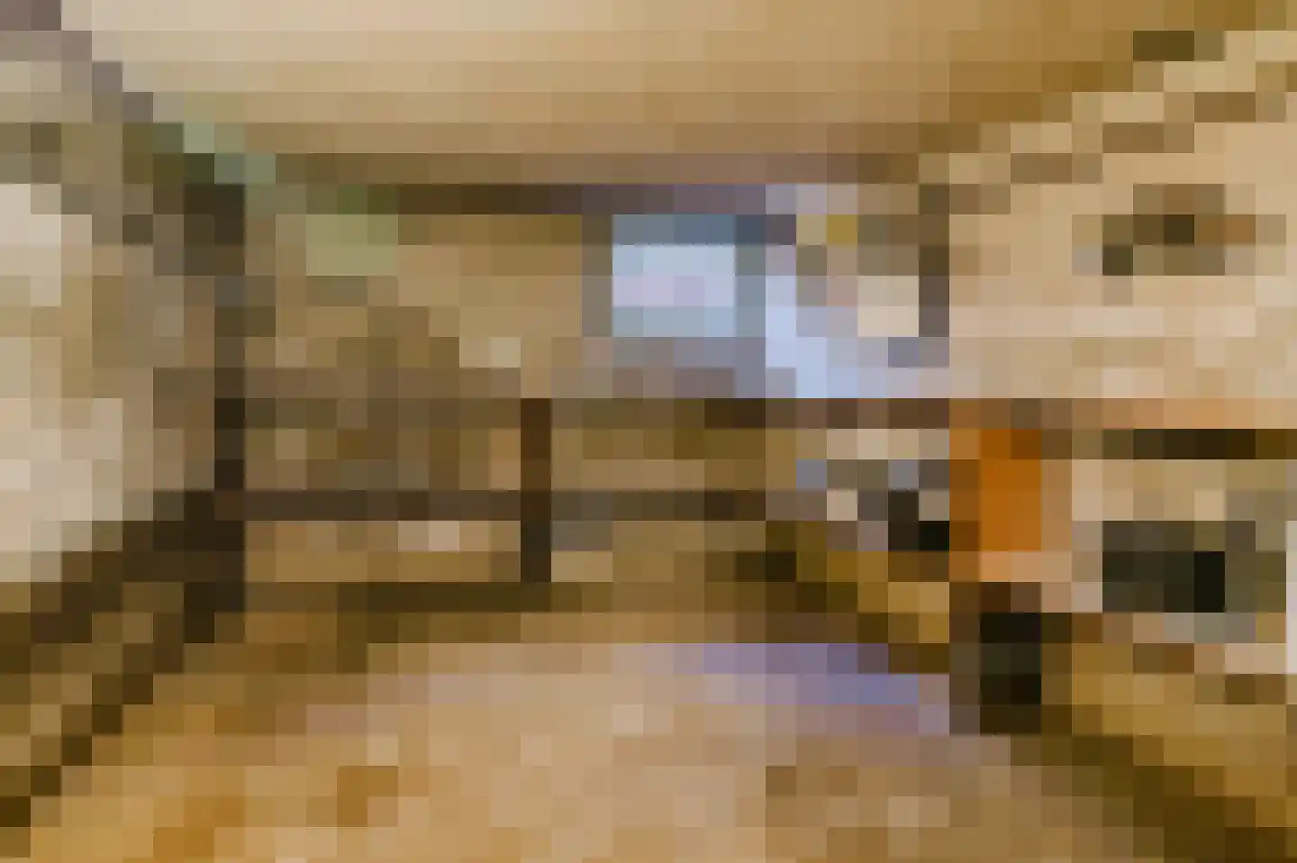 De Buorren 37 Lippenhuizen thumbnail 59