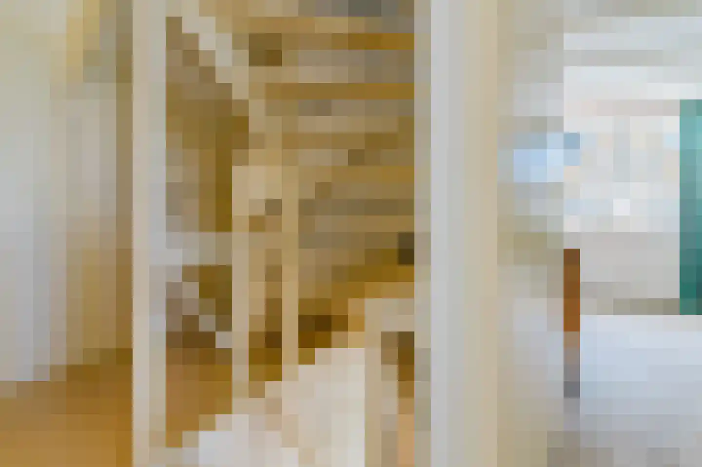 De Buorren 37 Lippenhuizen thumbnail 67