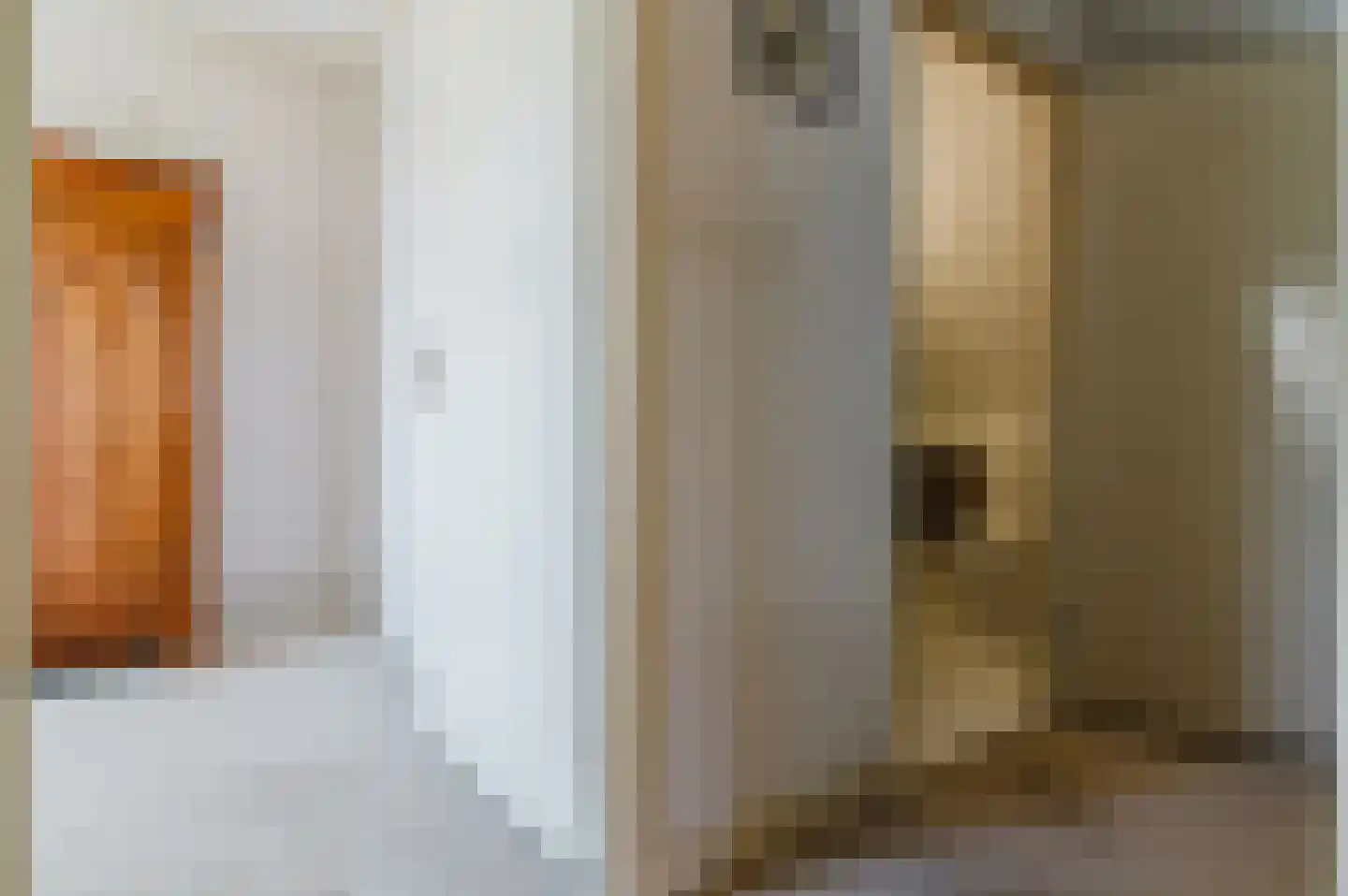 De Buorren 37 Lippenhuizen thumbnail 68