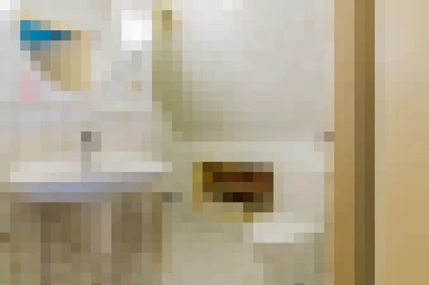 De Buorren 37 Lippenhuizen thumbnail 69