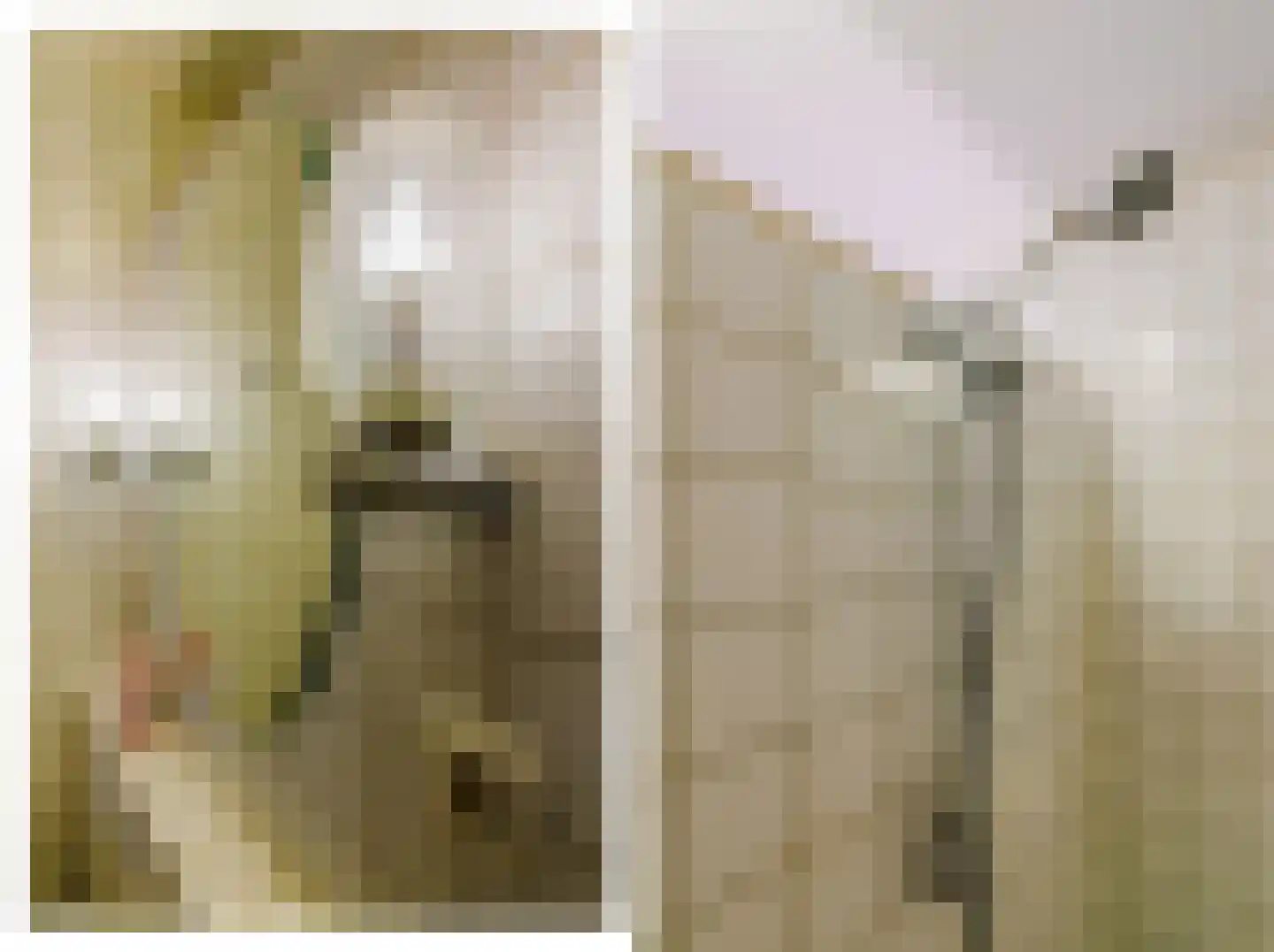 De Buorren 37 Lippenhuizen thumbnail 70
