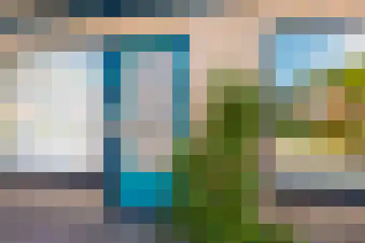 De Buorren 38 Lippenhuizen thumbnail 12